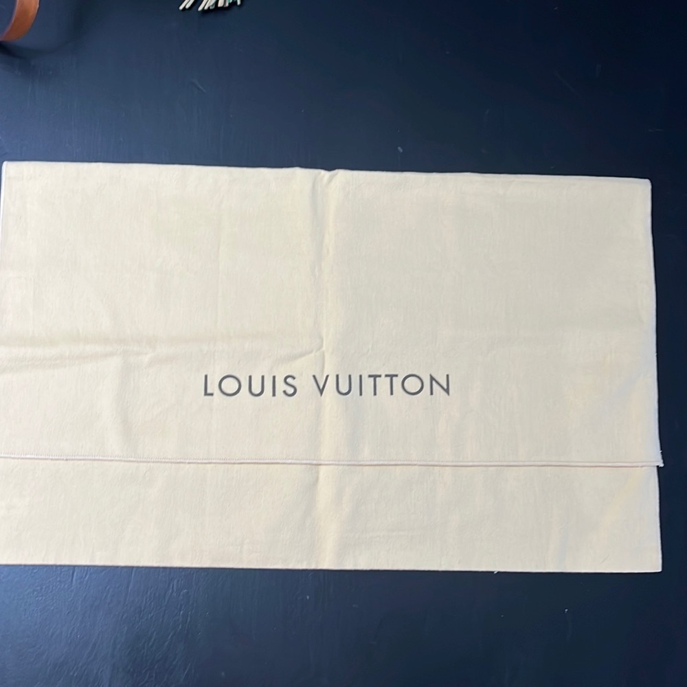 Louis Vuitton dust bag! Authentic…Excellent condition!!